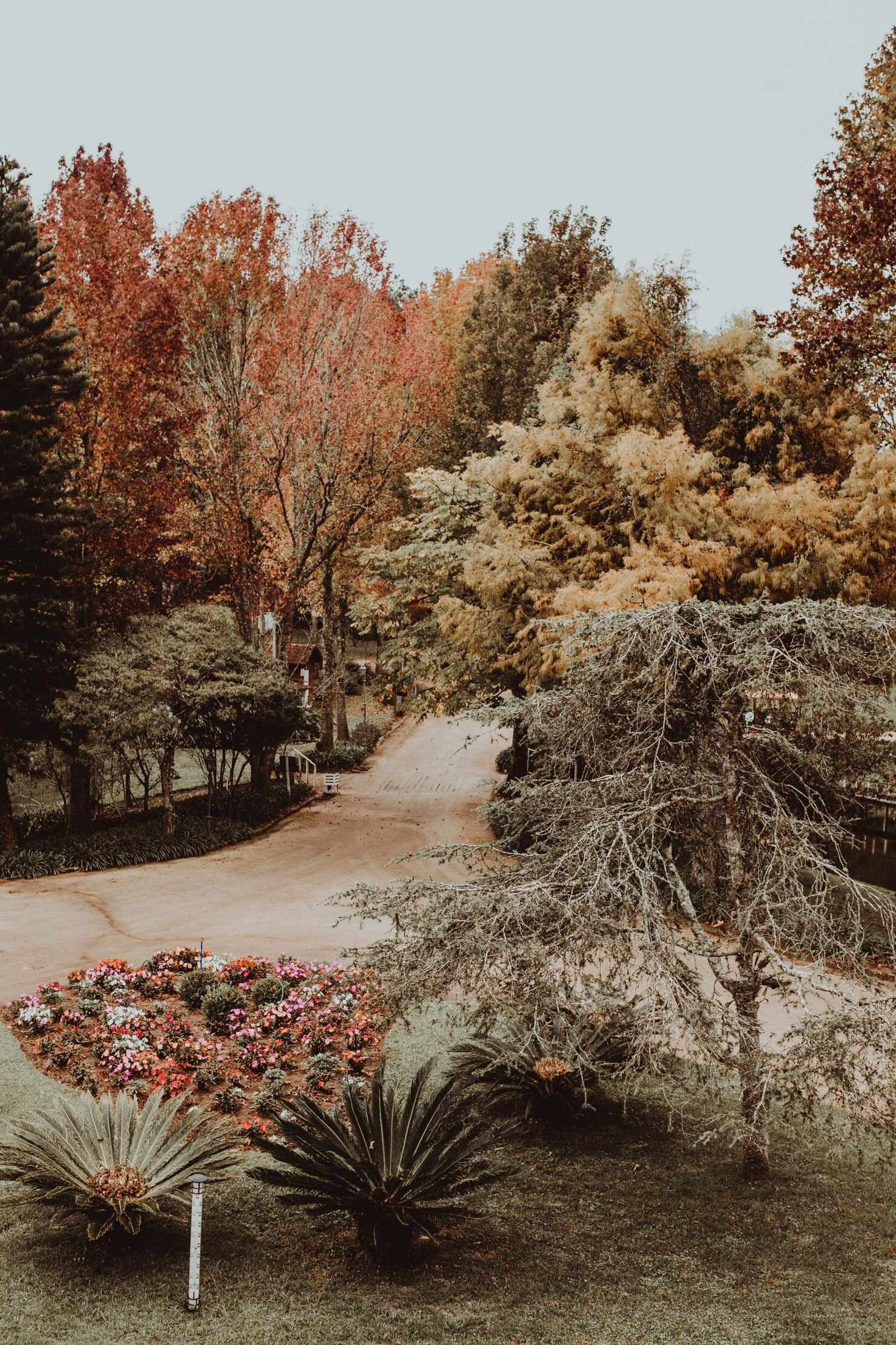 Efterårsrengøring af have